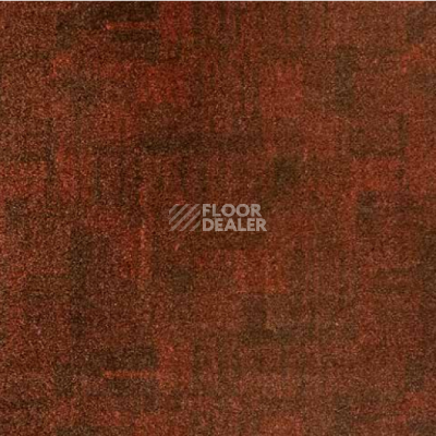 Ковролин Big Carus Golden Gate gg 003 27477 фото 1 | FLOORDEALER